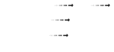 National Executive Transfers